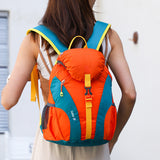 Nylon Multicolor Outdoor Backpack